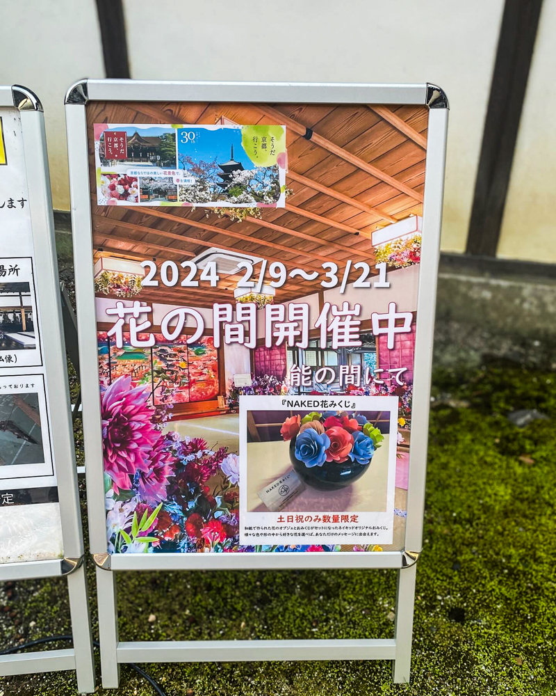 随心院、花の間、春の花、京都府京都府の観光・撮影スポットの名所